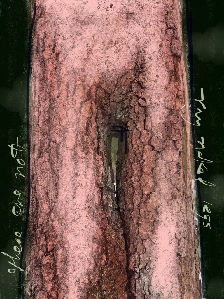 "These are not my legs" Digital art of split tree trunk with markup