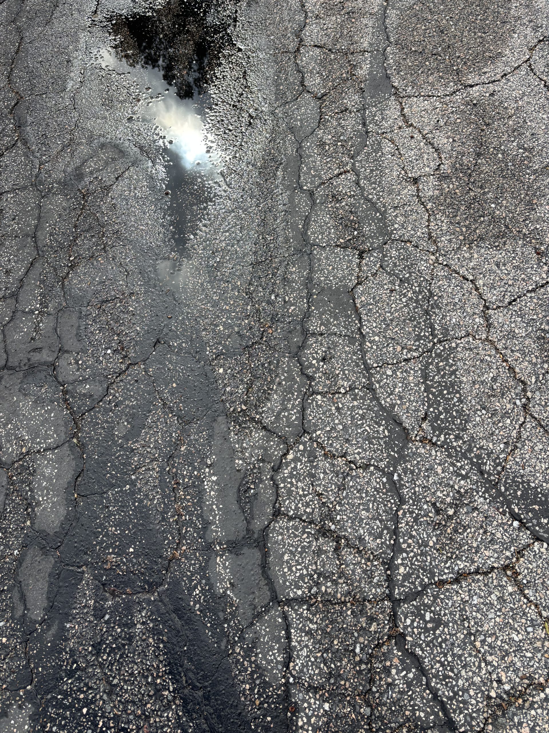 Initial image for Veil Sides of sidewalk