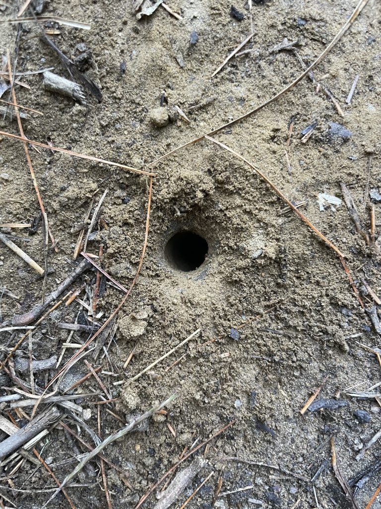 photo by Elizabeth Mullen Matteson