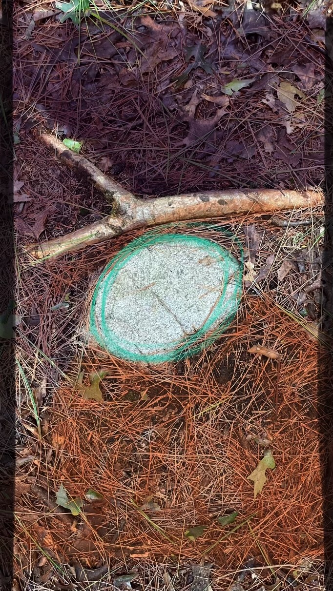 "Rune" a #SymbolWork by EMWe Art (Elizabeth Mullen Matteson)