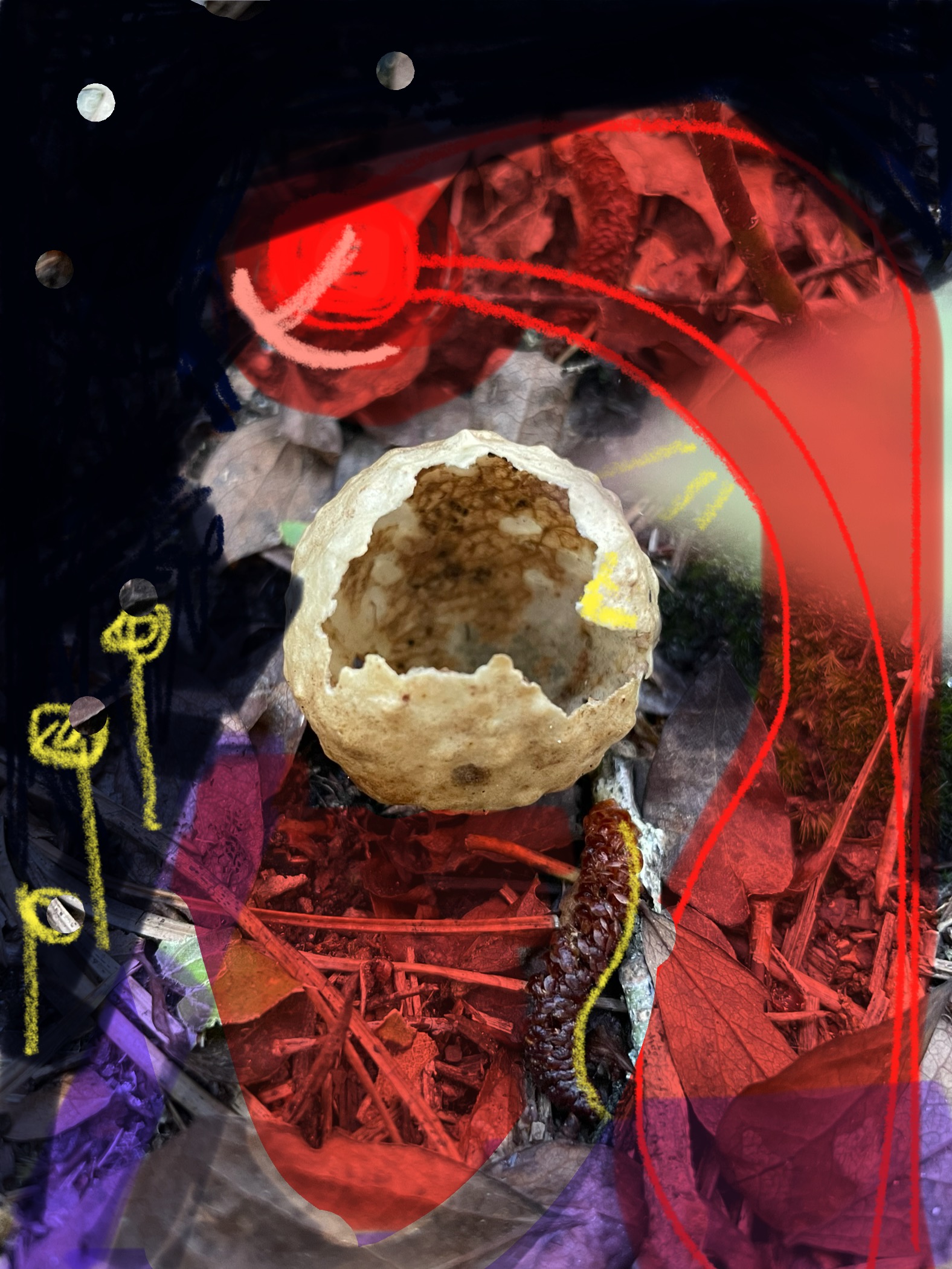 Portal One: Egg and Three Wisdoms by Elizabeth Mullen Matteson