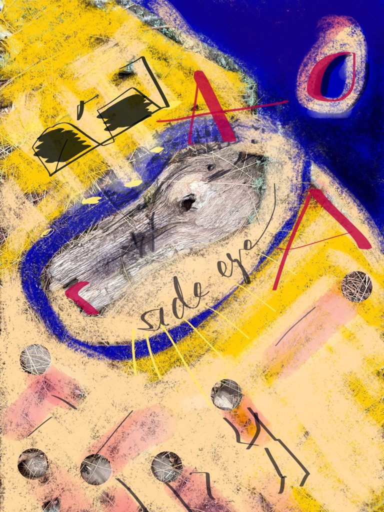 Side Eye AOA by EM Matteson