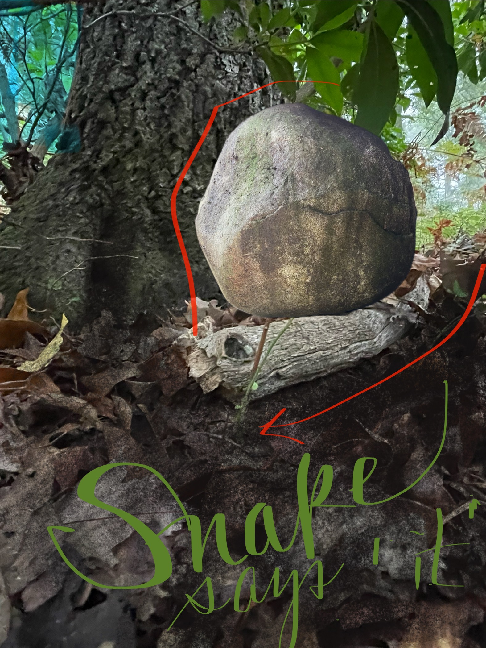 photographic collage