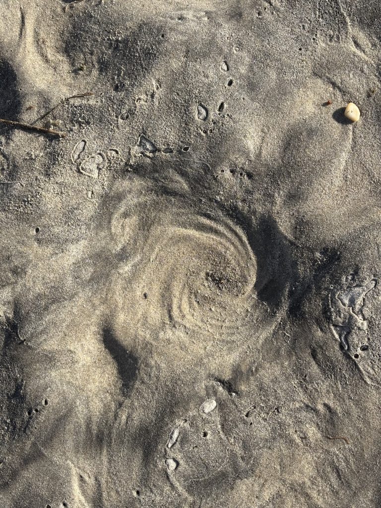 photo of sand on beach by Elizabeth Mullen Matteson. Read Post on Mommess.com