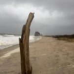 Photo of driftwood on Rhode Island Beach by Elizabeth M Matteson